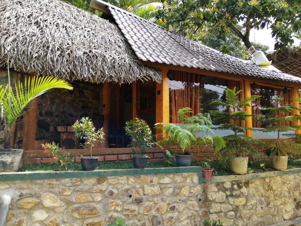 Mc Queen Homestay Ella Exterior foto